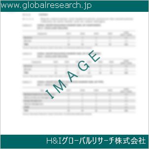 グローバルリサーチ調査資料のイメージ